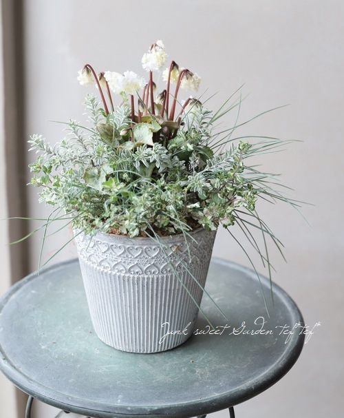 アントワネットの小さな冬景色 ❁⃘*.゜ 寄せ植え TEFNIQUE-寄せ植え 2020 * no.52 * 『白鳥の冬旅に思いを乗せて