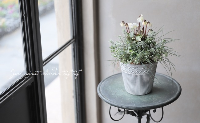 TEFNIQUE-寄せ植え 2020 * no.52 * 『白鳥の冬旅に思いを乗せて