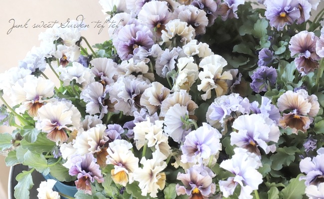 ヌーヴェルヴァーグ・アクアレール7 楽天市場】【まもなく予約締切