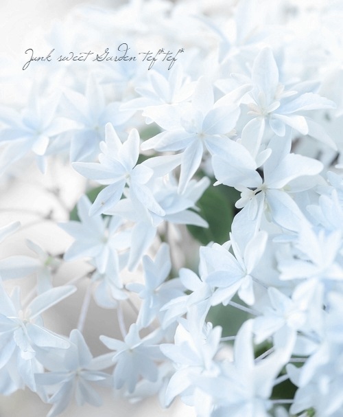 秀様 リクエスト 2点 まとめ商品　紫陽花　アジサイ　グリッター 単品】アジサイ グリッター（6号サイズ） | アトリエ華もみじ