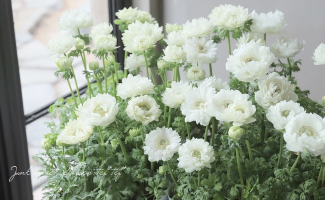 1_000000017407.jpg?1678209903