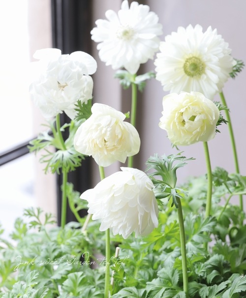 アネモネ　デュフ anemone muffin bag - minä perhonen