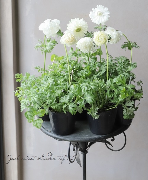 アネモネ　デュフ anemone muffin bag - minä perhonen
