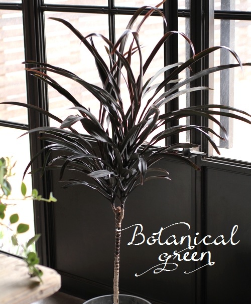 Ķʼ른͡إ֥åѥ