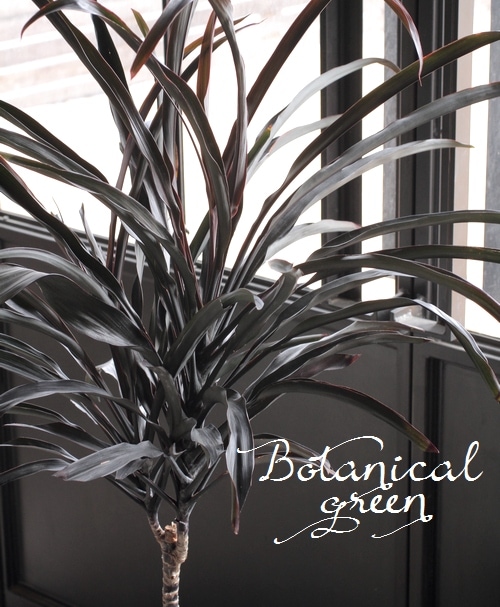 Ķʼ른͡إ֥åѥ