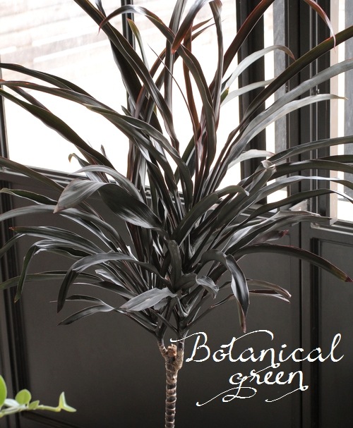 Ķʼ른͡إ֥åѥ