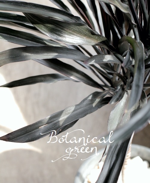 Ķʼ른͡إ֥åѥ