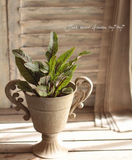 ���å������إ֥�åǥ��ɥå���