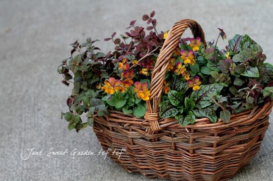 ���å������إ֥�åǥ��ɥå���