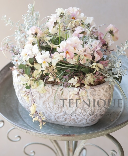 寄せ植え】-TEFNIQUE-寄せ植え 2023 * no.11 * 『春の木漏れ日