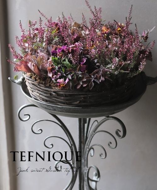 �ڴ󤻿����� -TEFNIQUE-�󤻿����꡼�� 2024 * no.30 *����Ͳİ������ӿ�������ơ�����