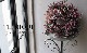 �ڴ󤻿����� -TEFNIQUE-�󤻿����꡼�� 2024 * no.30 *����Ͳİ������ӿ�������ơ�����