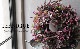 �ڴ󤻿����� -TEFNIQUE-�󤻿����꡼�� 2024 * no.30 *����Ͳİ������ӿ�������ơ�����