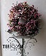 �ڴ󤻿����� -TEFNIQUE-�󤻿����꡼�� 2024 * no.30 *����Ͳİ������ӿ�������ơ�����