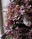 �ڴ󤻿����� -TEFNIQUE-�󤻿����꡼�� 2024 * no.30 *����Ͳİ������ӿ�������ơ�����