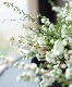 Ȭ�ź餭���롼�ʡ����ꥫ����No.F��