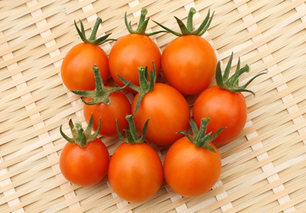 高級手芸 スキルスクリーン 完成品 ミニトマト柄 野菜苗】 新品種！高糖度ミニトマト 『ミラクルリッチ』 スイーツ