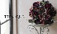 ڴ󤻿 -TEFNIQUE-󤻿꡼ 2024 * no.31 *֥åNew Year