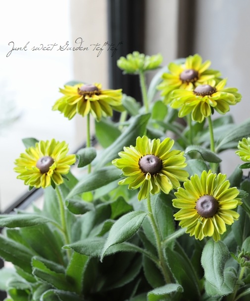 Ϣ³���֡���ɥ٥����������Х󥵥ե��ꡡ�إե��쥹�ȥ��꡼��١�