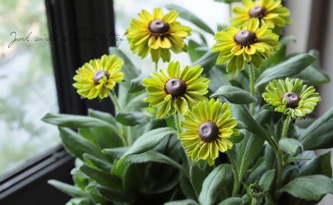 Ϣ³���֡���ɥ٥����������Х󥵥ե��ꡡ�إե��쥹�ȥ��꡼��١�