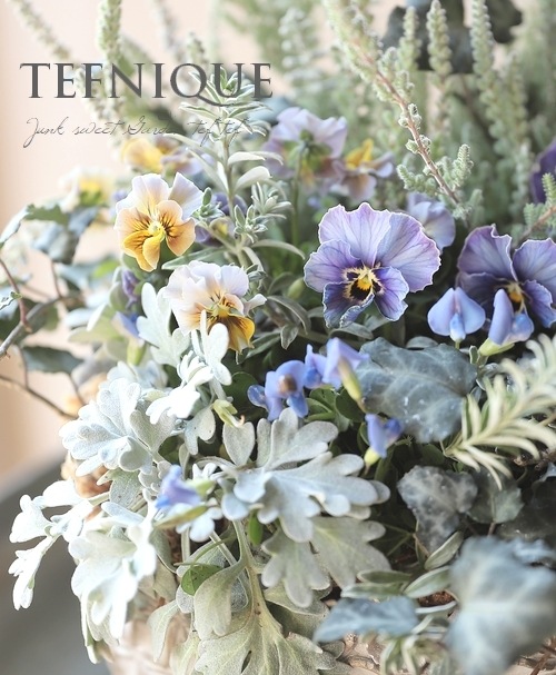 寄せ植え】-TEFNIQUE-寄せ植え 2025 * no.6 * 『大人可愛い冬景色の
