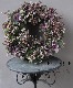 -TEFNIQUE-�󤻿����꡼�� 2019 * no.119 *��tef*tef*���ۤ������äѤ���