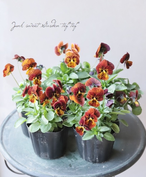 ハンドメイド　ビオラ ビオラ 『タイガーアイ・レッド』 | すべての商品 | | Junk sweet