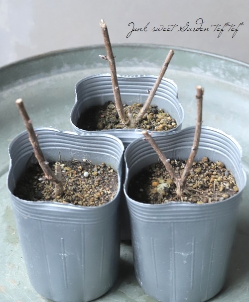 【ビンテージ】美品　希少　イエシア　リトアニアの花瓶　金彩　四葉型 ビンテージ】美品 希少 イエシア リトアニアの花瓶 金彩 四葉型 - メルカリ