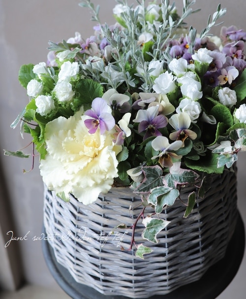 �ڻ��ߡۥ��졼�١����忧���Х롼��ݥåȥ��С���M������