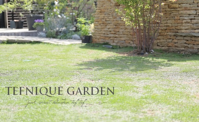 �ںǶ������ɥ��С��ۥ�����쥽�� �إ���ԥ��� K7 20�ġ�5��Ŭ�̡�