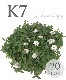 �ںǶ������ɥ��С��ۥ�����쥽�� �إ���ԥ��� K7 20�ġ�5��Ŭ�̡�