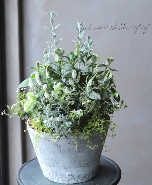 ڻߡۥƥۥ磻ȡݥå 25cm