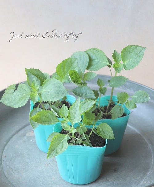 �ڲ����ڱ�� �إ���������