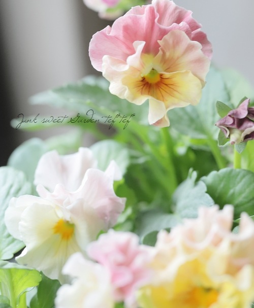 4_000000021510.jpg?1730555215