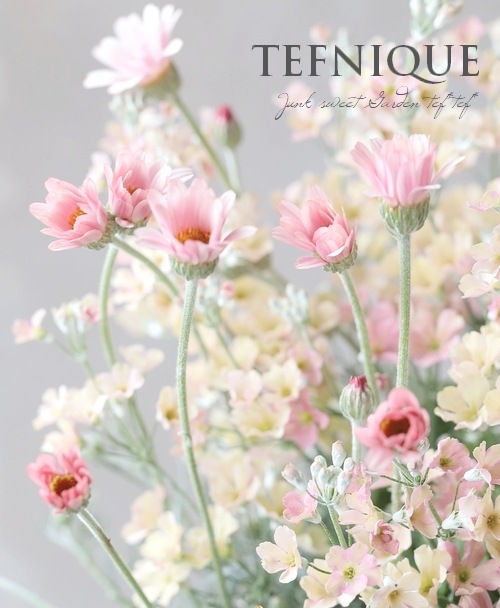 �����ƥ����ڥ�ޥࡦ���֥�ץ�󥻥����إ������١�