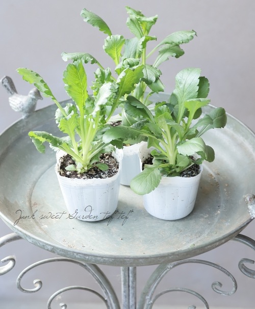 zingai  お出かけ　sp zingai お出かけ sp zingai お出かけ sp zingai お出かけsp