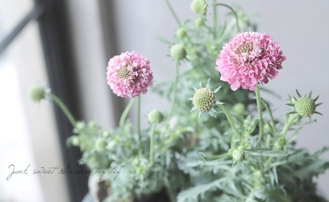 【保障できる】 サトウアサミ ピンクの花 長き 絵画