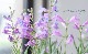 ڥ󥹥ƥ󡡡إ쥯ȥå֥롼ٿ