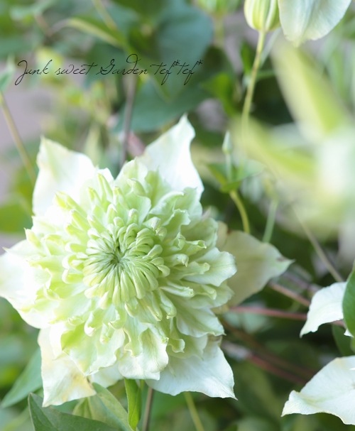 ����ޥ������إե���������ܥ�ǥ����ʡ������š١�MIX����