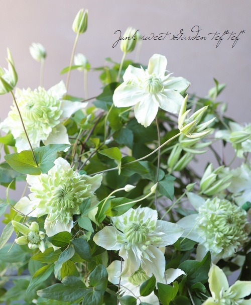 ����ޥ������إե���������ܥ�ǥ����ʡ������š١�MIX����