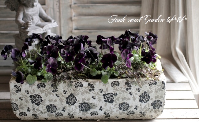 ץƥͥ顡إץåĥ֥å