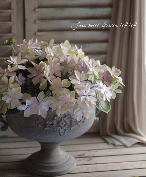 Hydrangea4936　1001 早割期間中！】母の日ギフト2026 アジサイ 衣純千織イズミチオリ