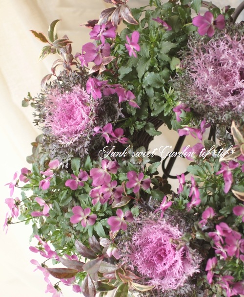 �ߤ�ȥӥ��顡�إҥ��»ΤΥ磻�󥰥饹��