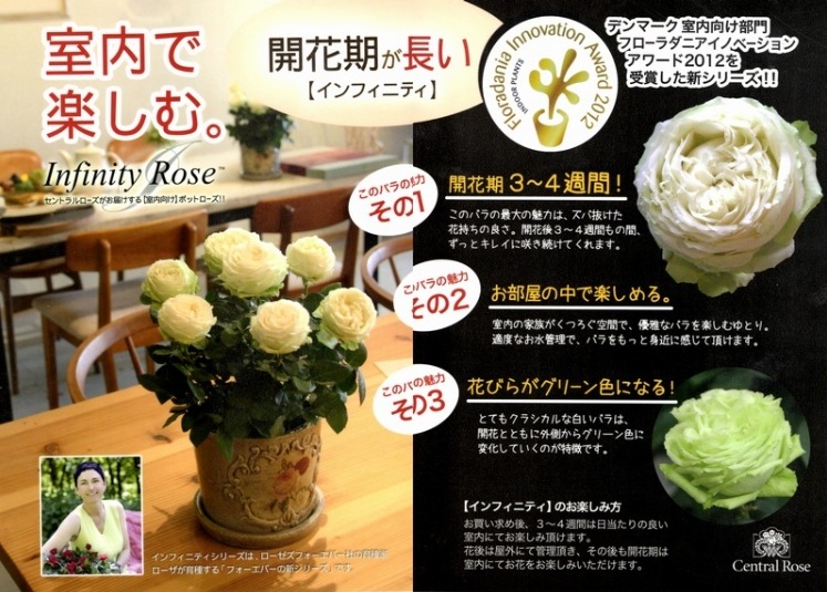 花薔薇のレースの卓上パーテーションミニ3連 10_000000004036.jpg?1678209903