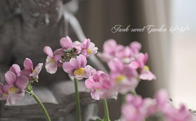 �͵��餭�����ɺ��ͥ᥷�����˥� �إԥ󥯥Х����顼��