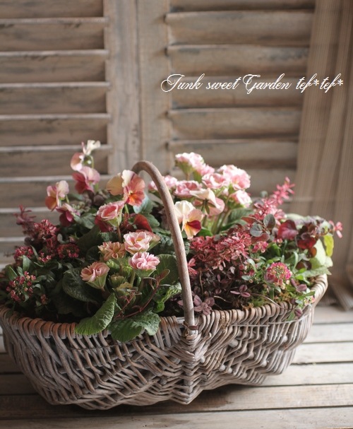 オーダー寄せ植えご相談ページ オーダー寄せ植え5000円 | 寄せ植え お花のプレゼント