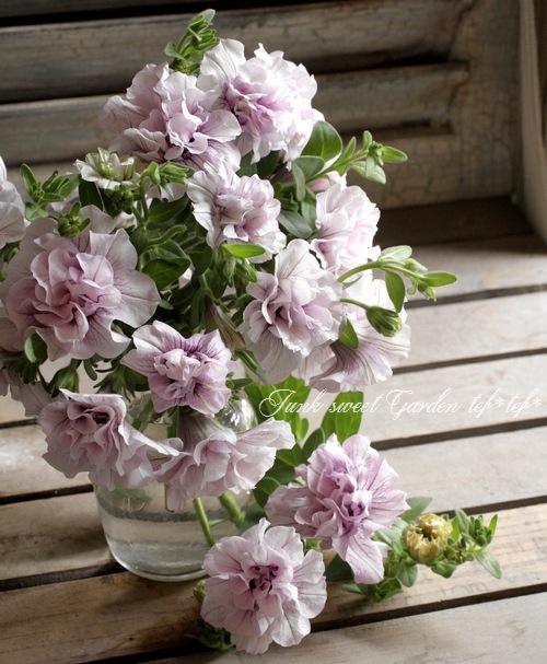 Ȭź餭ڥ˥ѥ˥إԥ󥯥