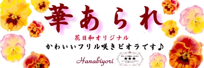 إեӥ顡زڤ ¥ꥸʥ