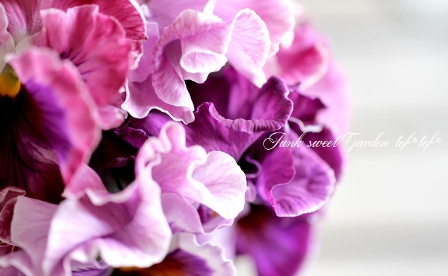 ラベンダーパンジーレース使いのフリルスカートです❣ ラベンダーパンジーレース使いのフリルスカートです❣