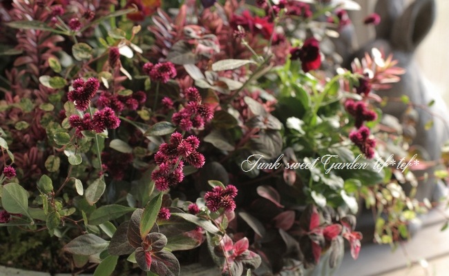 tef*tef*󤻿<BR>2015 * no.110 *<BR><BR>إ쥬 X'mas